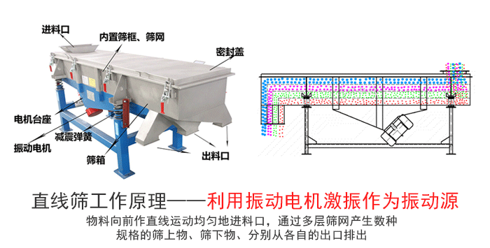 鸡精颗粒麻豆APP在线免费观看